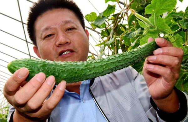 生鮮食材配送為什么大多不能與客戶建立長期合作？